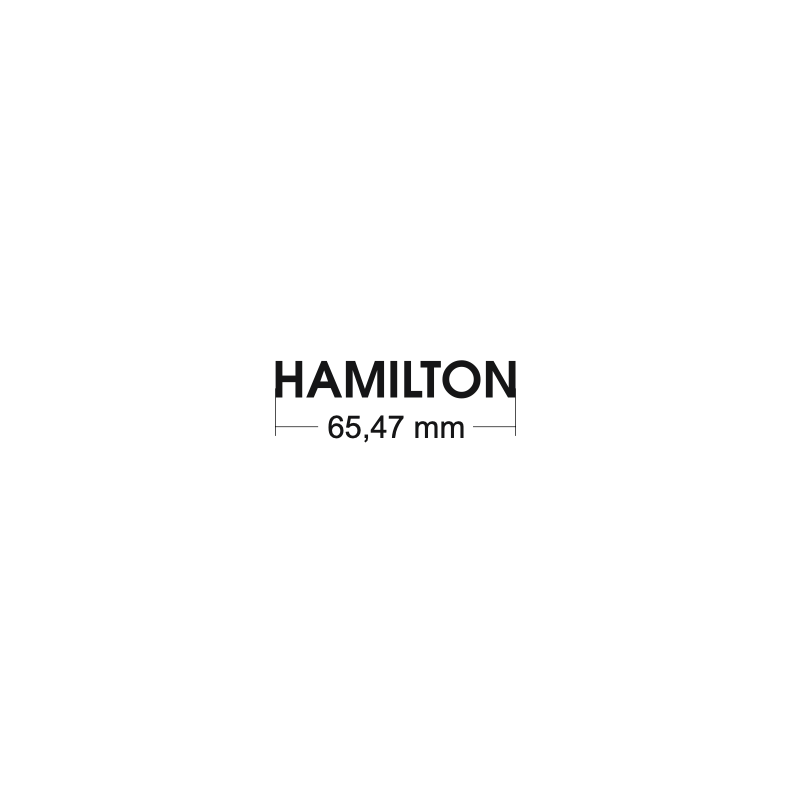 Inscription HAMILTON en acier inoxydable, hauteur 10 cm, sans rétroéclairage LED