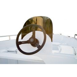 Bateau à moteur de pêche N420