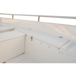 Bateau à moteur de pêche N420