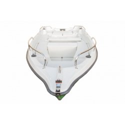 Bateau à moteur de pêche N420